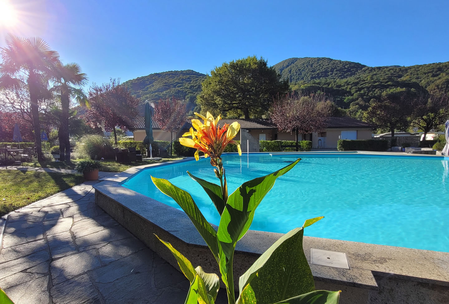 Unser eigener, neuer Swimming-Pool
